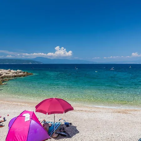 Elegance Apartamento